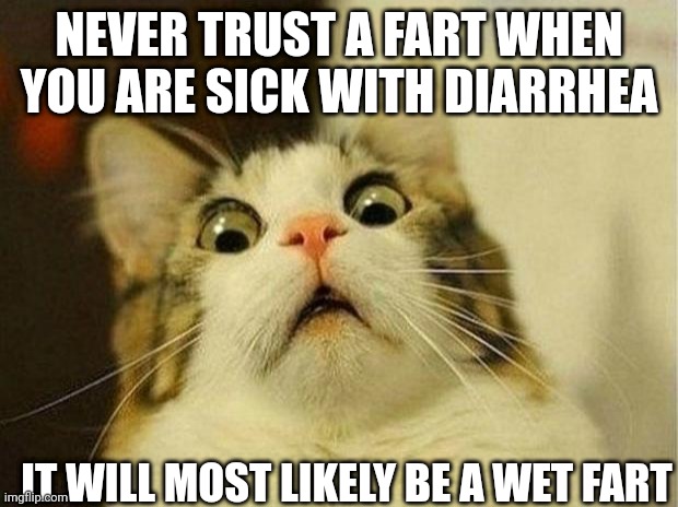 DIARRHEA | NEVER TRUST A FART WHEN YOU ARE SICK WITH DIARRHEA; IT WILL MOST LIKELY BE A WET FART | image tagged in memes,scared cat | made w/ Imgflip meme maker