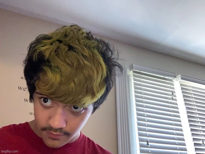 I mean I tried to dye my hair | made w/ Imgflip meme maker