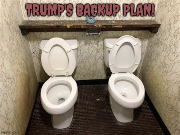 Trump's fail safe... | TRUMP'S BACKUP PLAN! | image tagged in clogged toilet,documents,donald trump,white house | made w/ Imgflip meme maker