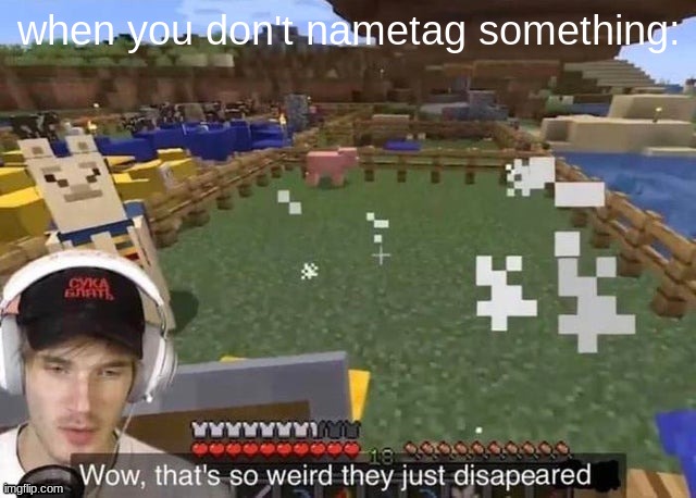 minecraft be like | when you don't nametag something: | image tagged in wow that's so weird they just disappeared | made w/ Imgflip meme maker