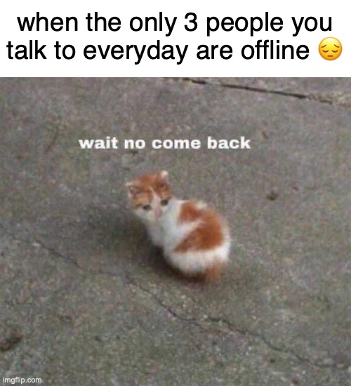 when the only 3 people you talk to everyday are offline 😔 | made w/ Imgflip meme maker