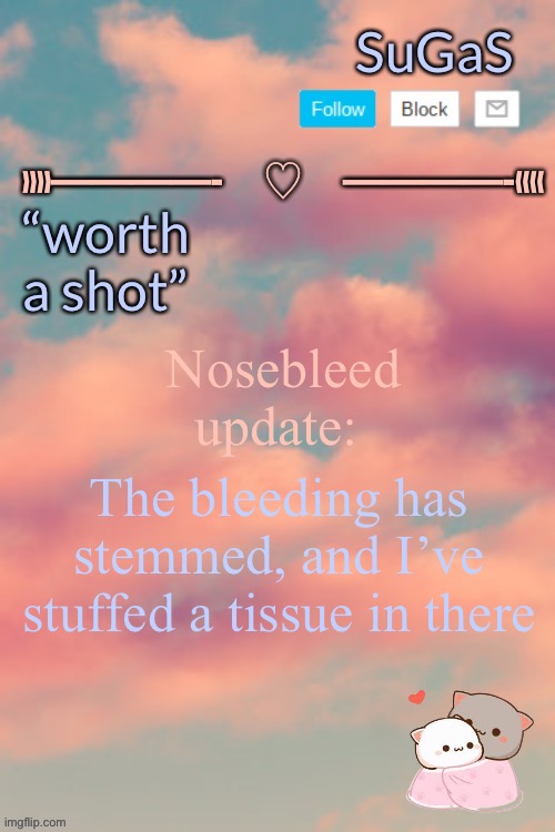 Sugas’ aesthetic template | Nosebleed update:; The bleeding has stemmed, and I’ve stuffed a tissue in there | image tagged in sugas aesthetic template | made w/ Imgflip meme maker