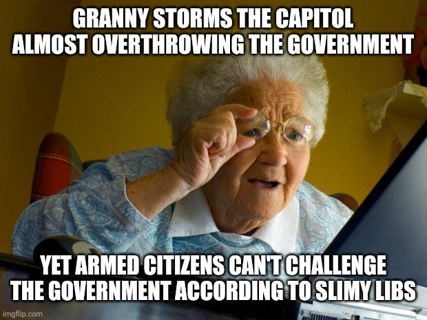 Old lady at computer finds the Internet | GRANNY STORMS THE CAPITOL ALMOST OVERTHROWING THE GOVERNMENT YET ARMED CITIZENS CAN'T CHALLENGE THE GOVERNMENT ACCORDING TO SLIMY LIBS | image tagged in old lady at computer finds the internet | made w/ Imgflip meme maker