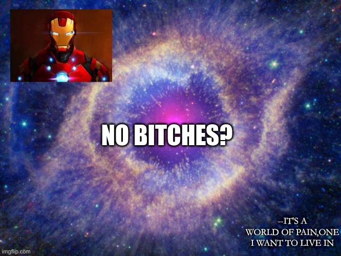 NO BITCHES? | made w/ Imgflip meme maker