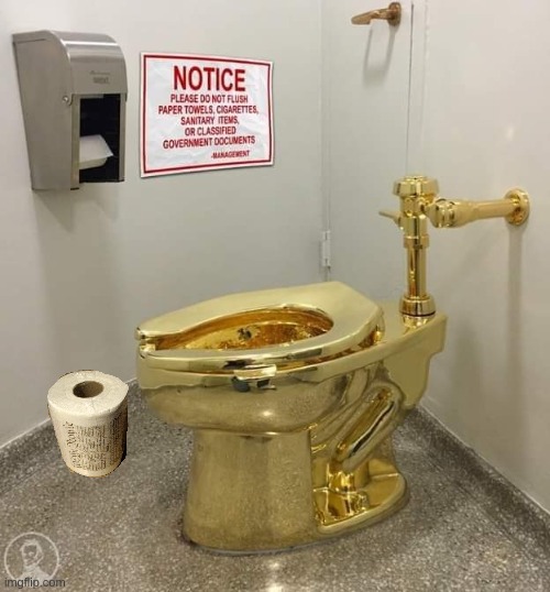 Golden throne | image tagged in toilet humor,constitution,flush | made w/ Imgflip meme maker