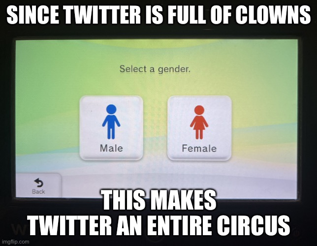 There are 2 genders confirmed | SINCE TWITTER IS FULL OF CLOWNS; THIS MAKES TWITTER AN ENTIRE CIRCUS | image tagged in there are 2 genders confirmed | made w/ Imgflip meme maker
