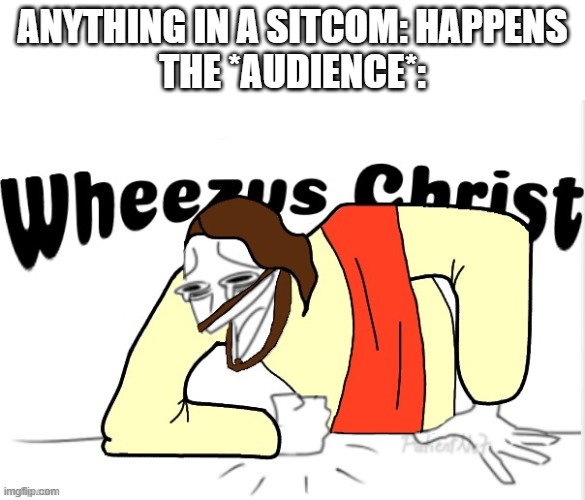 Wheezus Christ | ANYTHING IN A SITCOM: HAPPENS
THE *AUDIENCE*: | image tagged in wheezus christ | made w/ Imgflip meme maker