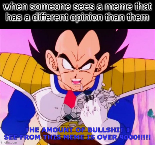 bullshit | when someone sees a meme that has a different opinion than them | image tagged in bullshit | made w/ Imgflip meme maker