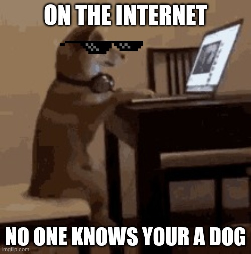 dog memes | ON THE INTERNET; NO ONE KNOWS YOUR A DOG | image tagged in dog memes,the scroll of truth,lol so funny | made w/ Imgflip meme maker