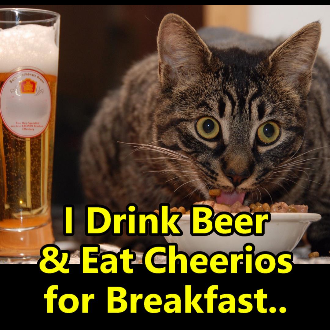 Breakfast of Cats Blank Meme Template
