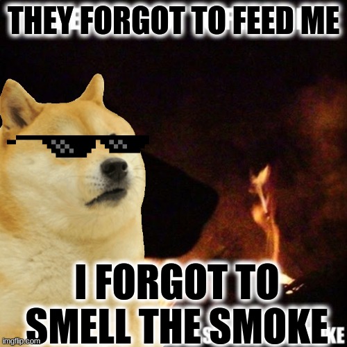 evil dog | THEY FORGOT TO FEED ME; I FORGOT TO SMELL THE SMOKE | image tagged in funny memes,doge,ha ha ha ha,memes i laughed at then vs memes i laugh at now | made w/ Imgflip meme maker