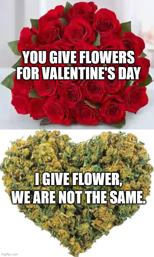 YOU GIVE FLOWERS FOR VALENTINE'S DAY; I GIVE FLOWER, WE ARE NOT THE SAME. | image tagged in weed,flower,flowers,valentine's day,we are not the same | made w/ Imgflip meme maker