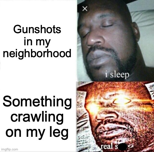 .... | Gunshots in my neighborhood; Something crawling on my leg | image tagged in memes,sleeping shaq | made w/ Imgflip meme maker