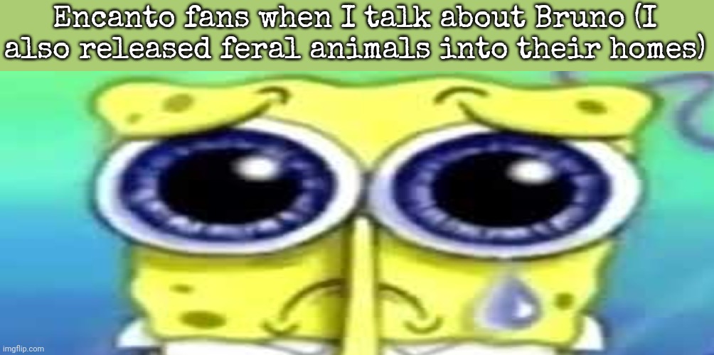 Sad Spong | Encanto fans when I talk about Bruno (I also released feral animals into their homes) | image tagged in sad spong | made w/ Imgflip meme maker