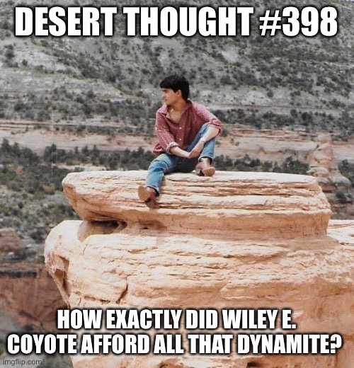 Desert thoughts | DESERT THOUGHT #398; HOW EXACTLY DID WILEY E. COYOTE AFFORD ALL THAT DYNAMITE? | image tagged in desert thoughts | made w/ Imgflip meme maker