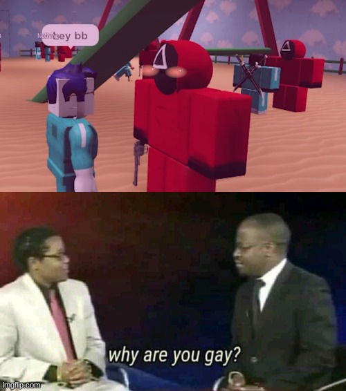 image tagged in why are you gay | made w/ Imgflip meme maker