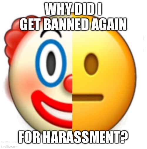 Bruh what | WHY DID I GET BANNED AGAIN; FOR HARASSMENT? | image tagged in bruh what | made w/ Imgflip meme maker