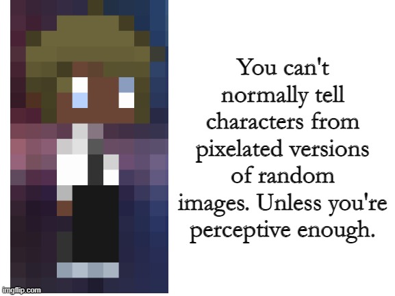 You can't tell from pixels 2: Based on a GIF here | You can't normally tell characters from pixelated versions of random images. Unless you're perceptive enough. | image tagged in blank white template,characters | made w/ Imgflip meme maker