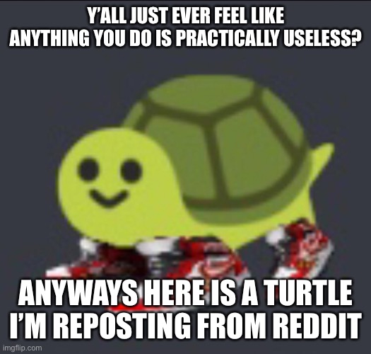 Y’ALL JUST EVER FEEL LIKE ANYTHING YOU DO IS PRACTICALLY USELESS? ANYWAYS HERE IS A TURTLE I’M REPOSTING FROM REDDIT | made w/ Imgflip meme maker