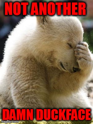 Facepalm Bear | NOT ANOTHER  DAMN DUCKFACE | image tagged in memes,facepalm bear | made w/ Imgflip meme maker