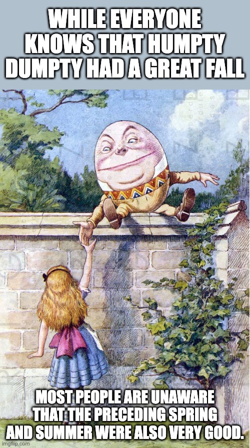 Humpty | WHILE EVERYONE KNOWS THAT HUMPTY DUMPTY HAD A GREAT FALL; MOST PEOPLE ARE UNAWARE THAT THE PRECEDING SPRING AND SUMMER WERE ALSO VERY GOOD. | image tagged in bad pun | made w/ Imgflip meme maker