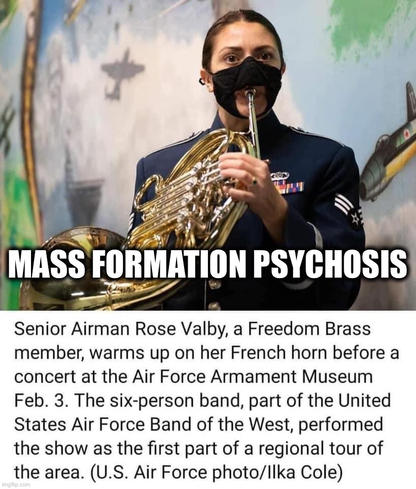 MASS FORMATION PSYCHOSIS | image tagged in masks,political meme,covid-19,hypocrisy,memes,covid | made w/ Imgflip meme maker