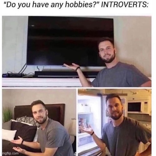 Introverts Be Like | image tagged in funny,memes,introverts | made w/ Imgflip meme maker