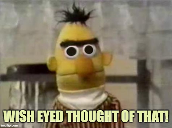 Bert Stare | WISH EYED THOUGHT OF THAT! | image tagged in bert stare | made w/ Imgflip meme maker