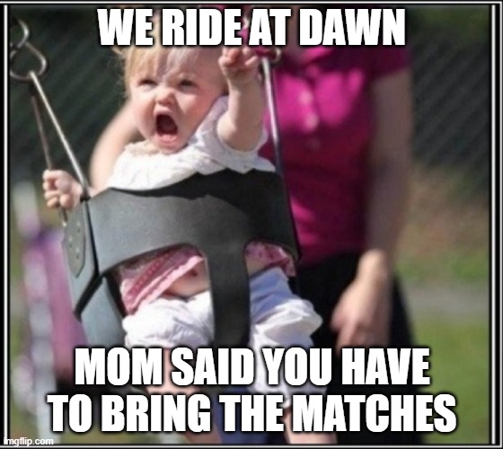 We Ride | WE RIDE AT DAWN; MOM SAID YOU HAVE TO BRING THE MATCHES | image tagged in we ride | made w/ Imgflip meme maker