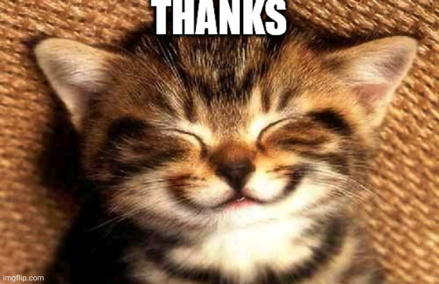 thanks | image tagged in thanks | made w/ Imgflip meme maker