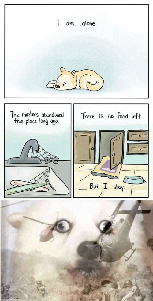 Alone, no food, etc. | image tagged in vietnam dog,dog,memes,comics/cartoons,comics,comic | made w/ Imgflip meme maker