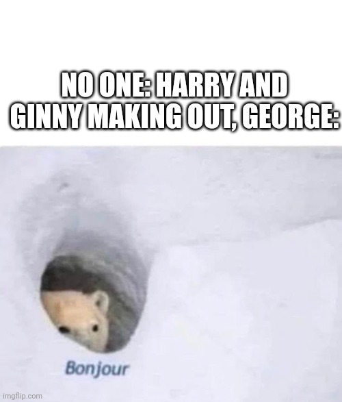 Bonjour | NO ONE: HARRY AND GINNY MAKING OUT, GEORGE: | image tagged in bonjour | made w/ Imgflip meme maker