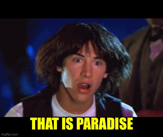 WOAH | THAT IS PARADISE | image tagged in woah | made w/ Imgflip meme maker