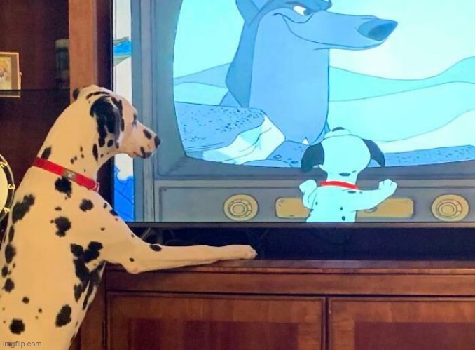 1 Dalmation | image tagged in dogs,enjoy | made w/ Imgflip meme maker