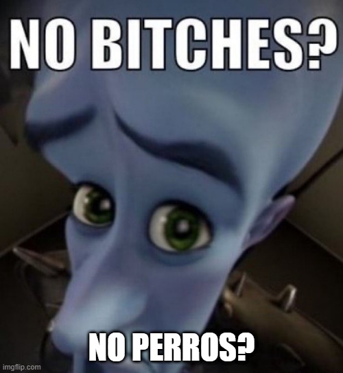 No Bitches? (spanish + english) | NO PERROS? | image tagged in no bitches megamind | made w/ Imgflip meme maker
