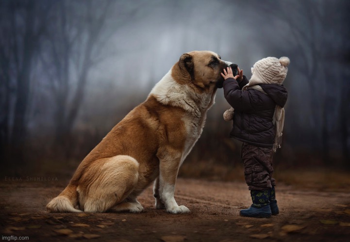 A dog is a kid’s best friend | image tagged in dogs,cute,enjoy | made w/ Imgflip meme maker