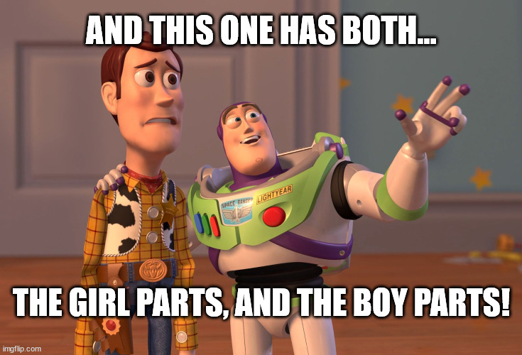 X, X Everywhere Meme |  AND THIS ONE HAS BOTH... THE GIRL PARTS, AND THE BOY PARTS! | image tagged in memes,x x everywhere | made w/ Imgflip meme maker