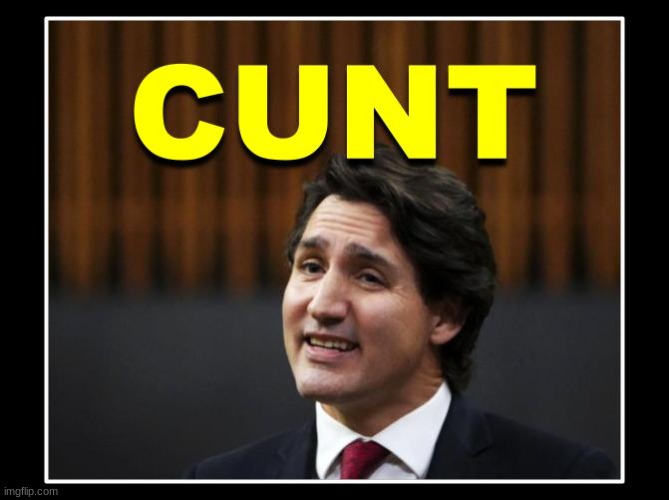 Indeed | image tagged in covid-19,canada,justin trudeau,politics,political,protesters | made w/ Imgflip meme maker