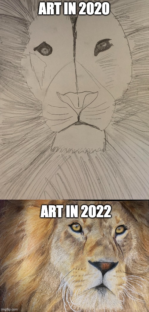 My Drawing Progress from 2020-2022 :) | ART IN 2020; ART IN 2022 | image tagged in drawing,drawings | made w/ Imgflip meme maker