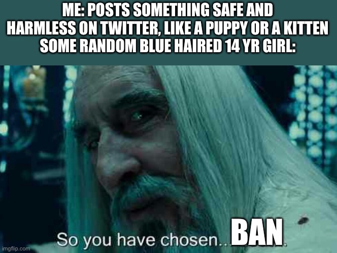 I absolutely DESPISE twitter | ME: POSTS SOMETHING SAFE AND HARMLESS ON TWITTER, LIKE A PUPPY OR A KITTEN
SOME RANDOM BLUE HAIRED 14 YR GIRL:; BAN | image tagged in so you have chosen death,twitter,banned | made w/ Imgflip meme maker