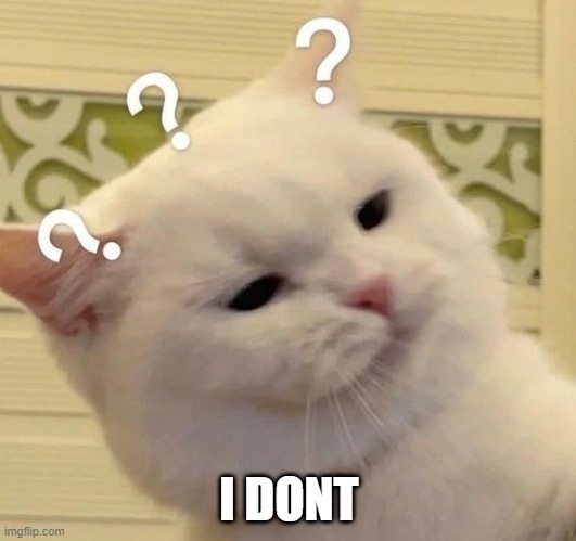 cat confused | I DONT | image tagged in cat confused | made w/ Imgflip meme maker