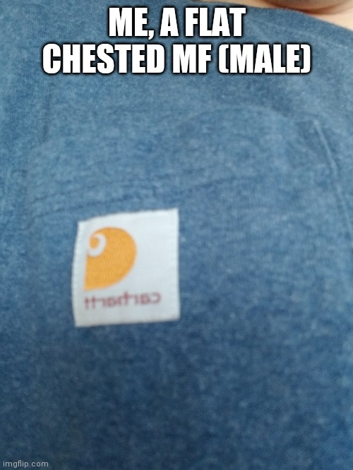 ME, A FLAT CHESTED MF (MALE) | made w/ Imgflip meme maker