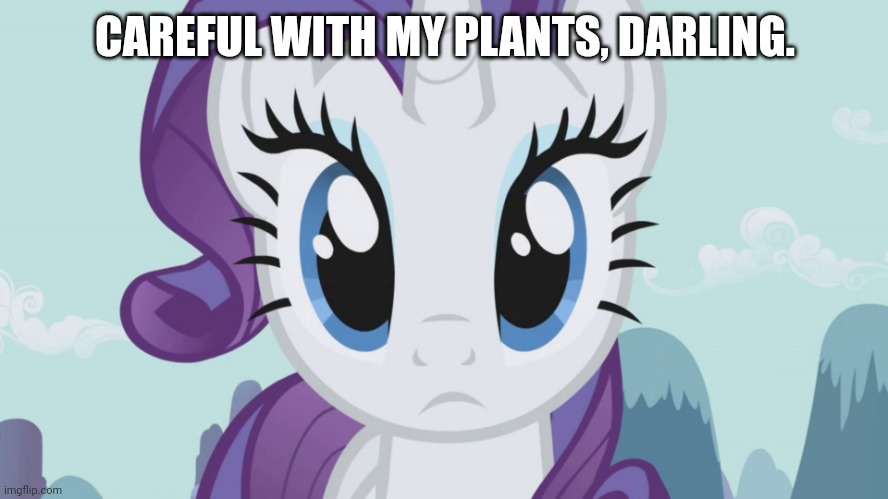Stareful Rarity (MLP) | CAREFUL WITH MY PLANTS, DARLING. | image tagged in stareful rarity mlp | made w/ Imgflip meme maker