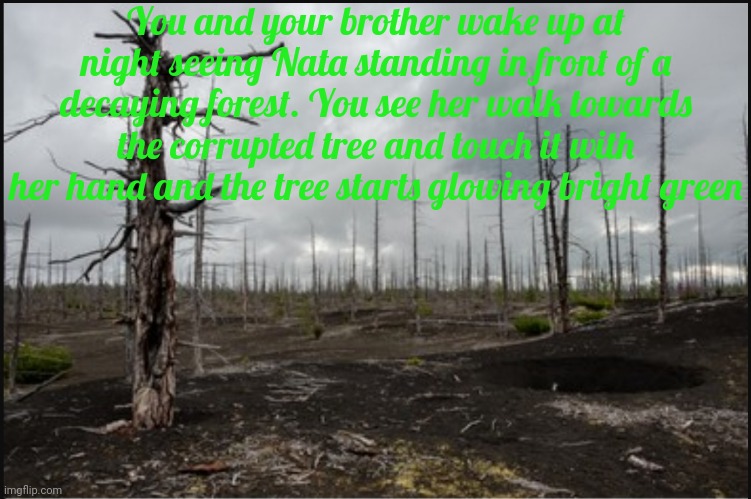 Part 2 out of 3, your decisions will effect what happens | You and your brother wake up at night seeing Nata standing in front of a decaying forest. You see her walk towards the corrupted tree and touch it with her hand and the tree starts glowing bright green | image tagged in be careful,of your,partner | made w/ Imgflip meme maker
