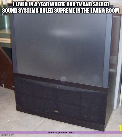 my parents lived like it was the 90s in the damn 2010s | I LIVED IN A YEAR WHERE BOX TV AND STEREO SOUND SYSTEMS RULED SUPREME IN THE LIVING ROOM | made w/ Imgflip meme maker