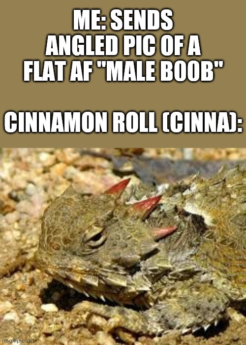 Horny toad (w/o toad) | ME: SENDS ANGLED PIC OF A FLAT AF "MALE B00B"; CINNAMON ROLL (CINNA): | image tagged in horny toad | made w/ Imgflip meme maker