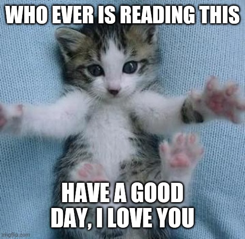 Hey :) | WHO EVER IS READING THIS; HAVE A GOOD DAY, I LOVE YOU | image tagged in i love you this much | made w/ Imgflip meme maker