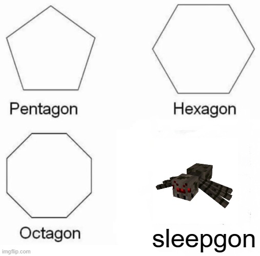 Pentagon Hexagon Octagon Meme | sleepgon | image tagged in memes,pentagon hexagon octagon,spider,minecraft,sleep is gone | made w/ Imgflip meme maker