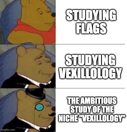 Tuxedo Winnie the Pooh (3 panel) | STUDYING FLAGS; STUDYING VEXILLOLOGY; THE AMBITIOUS STUDY OF THE NICHE "VEXILLOLOGY" | image tagged in tuxedo winnie the pooh 3 panel | made w/ Imgflip meme maker
