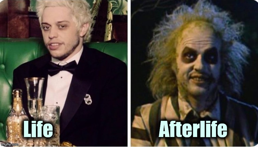 Pete , what's up with that ? | Life                             Afterlife | image tagged in celebs,what the hell happened here,did you mean,beetlejuice | made w/ Imgflip meme maker